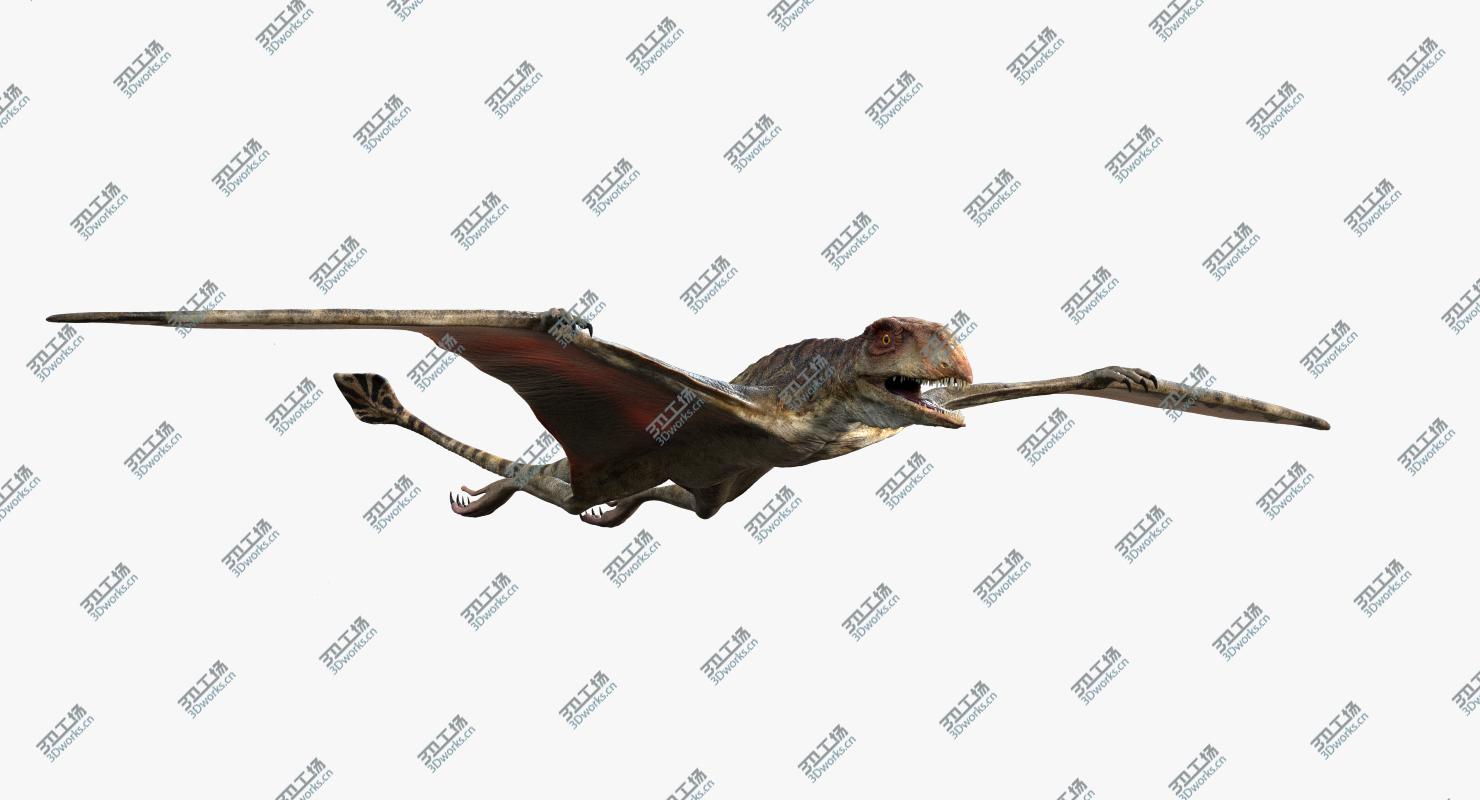 images/goods_img/202104094/Peteinosaurus (Rigged) 3D model/5.jpg